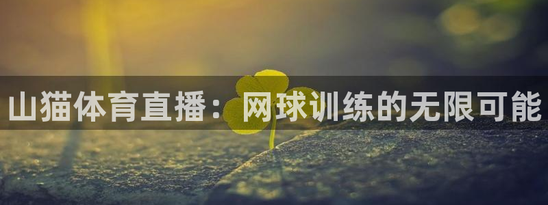 山猫体育直播：网球训练的无限可能