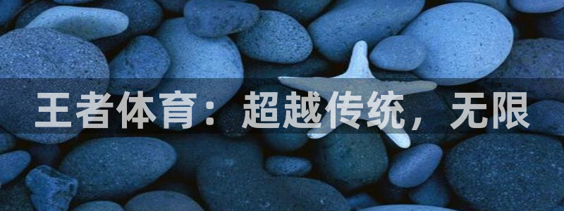 王者体育：超越传统，无限