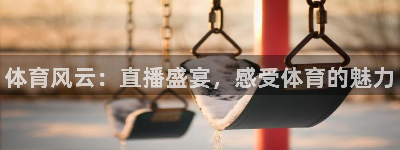 体育风云：直播盛宴，感受体育的魅力