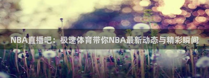 NBA直播吧：极速体育带你NBA最新动态与精彩瞬间