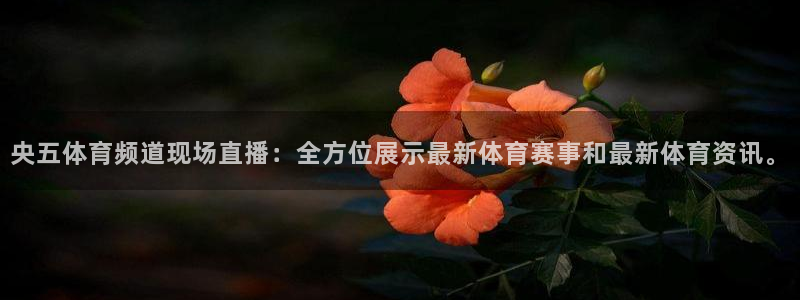 央五体育频道现场直播：全方位展示最新体育赛事和最新体育资讯。