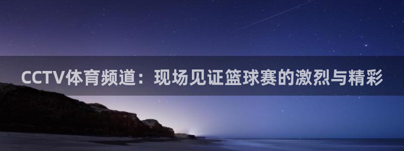 CCTV体育频道：现场见证篮球赛的激烈与精彩