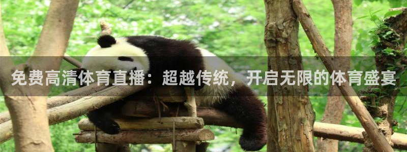 免费高清体育直播：超越传统，开启无限的体育盛宴