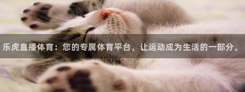 乐虎直播体育：您的专属体育平台，让运动成为生活的一部分。