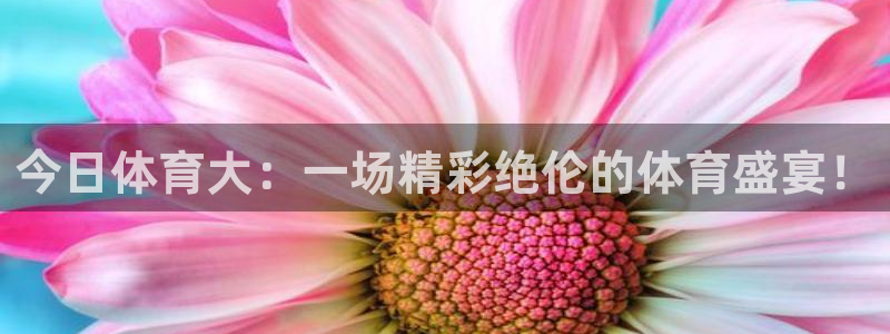 今日体育大：一场精彩绝伦的体育盛宴！