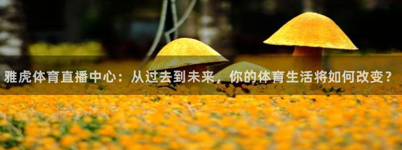 雅虎体育直播中心：从过去到未来，你的体育生活将如何改变？