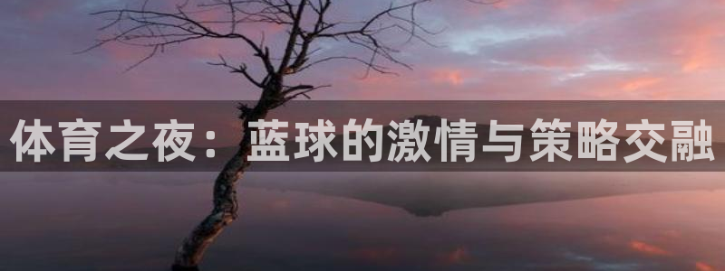 体育之夜：蓝球的激情与策略交融
