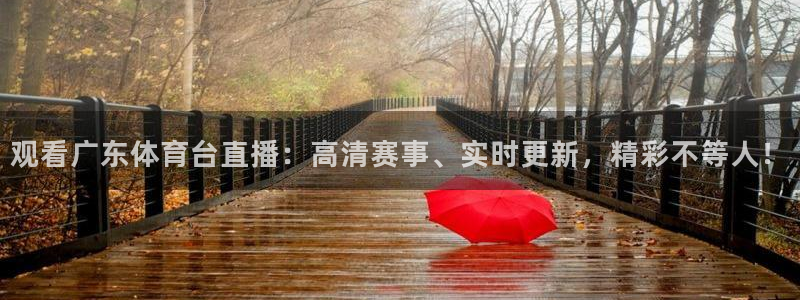 观看广东体育台直播：高清赛事、实时更新，精彩不等人！