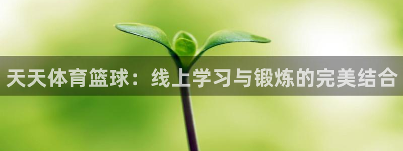 天天体育篮球：线上学习与锻炼的完美结合