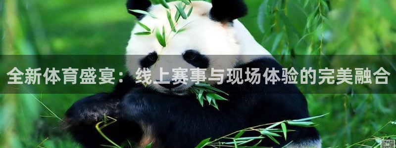 全新体育盛宴：线上赛事与现场体验的完美融合