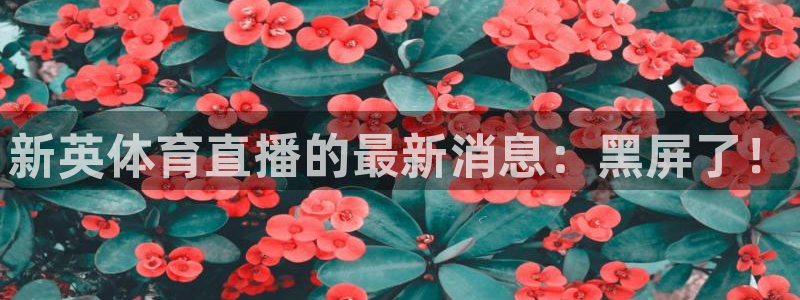 新英体育直播的最新消息：黑屏了！