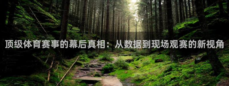 顶级体育赛事的幕后真相：从数据到现场观赛的新视角