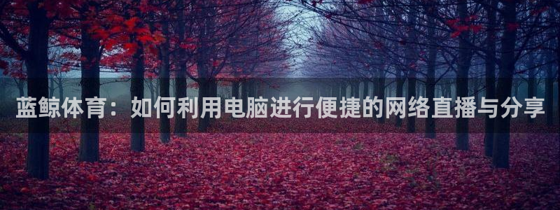蓝鲸体育：如何利用电脑进行便捷的网络直播与分享