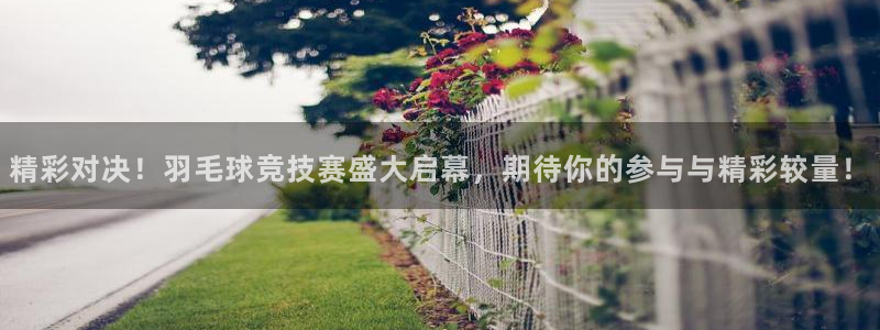 精彩对决！羽毛球竞技赛盛大启幕，期待你的参与与精彩较量！