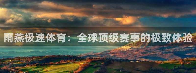 雨燕极速体育：全球顶级赛事的极致体验