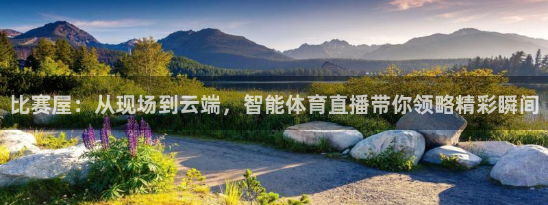 比赛屋：从现场到云端，智能体育直播带你领略精彩瞬间
