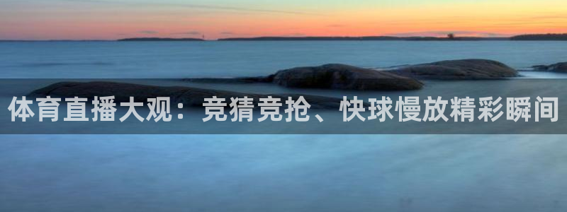 体育直播大观：竞猜竞抢、快球慢放精彩瞬间