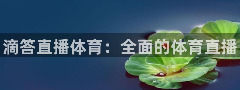 滴答直播体育：全面的体育直播